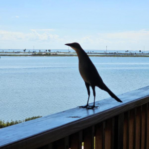 Summer's Little Bay Getaway